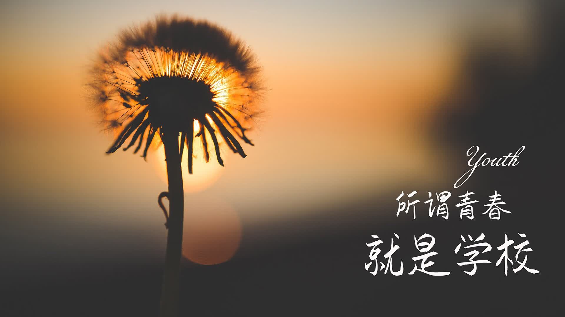 2026世界杯出线概率计算器:输入每轮实时比分一键推演48队命运,世界杯有人算出比分