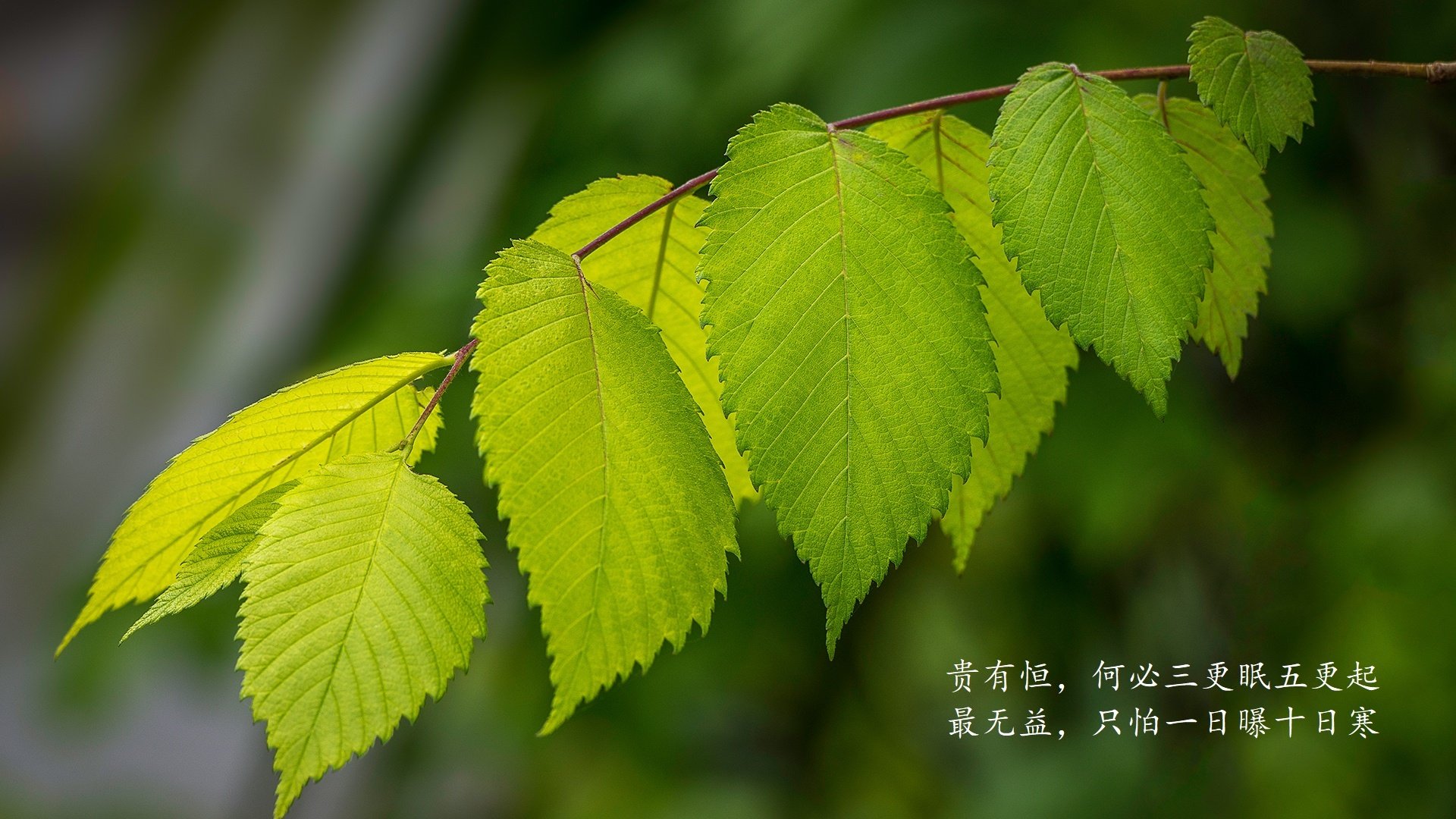 2026年排球业余联赛:全国民间赛事报名指南,2021排球联赛在哪里举办
